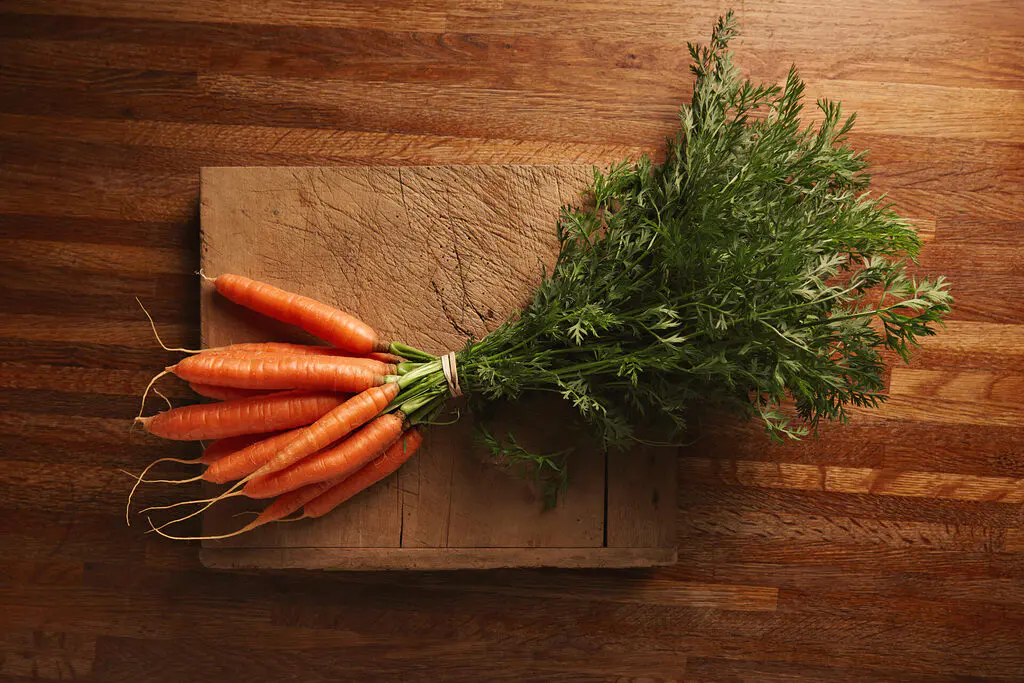 carottes nouvelles en botte