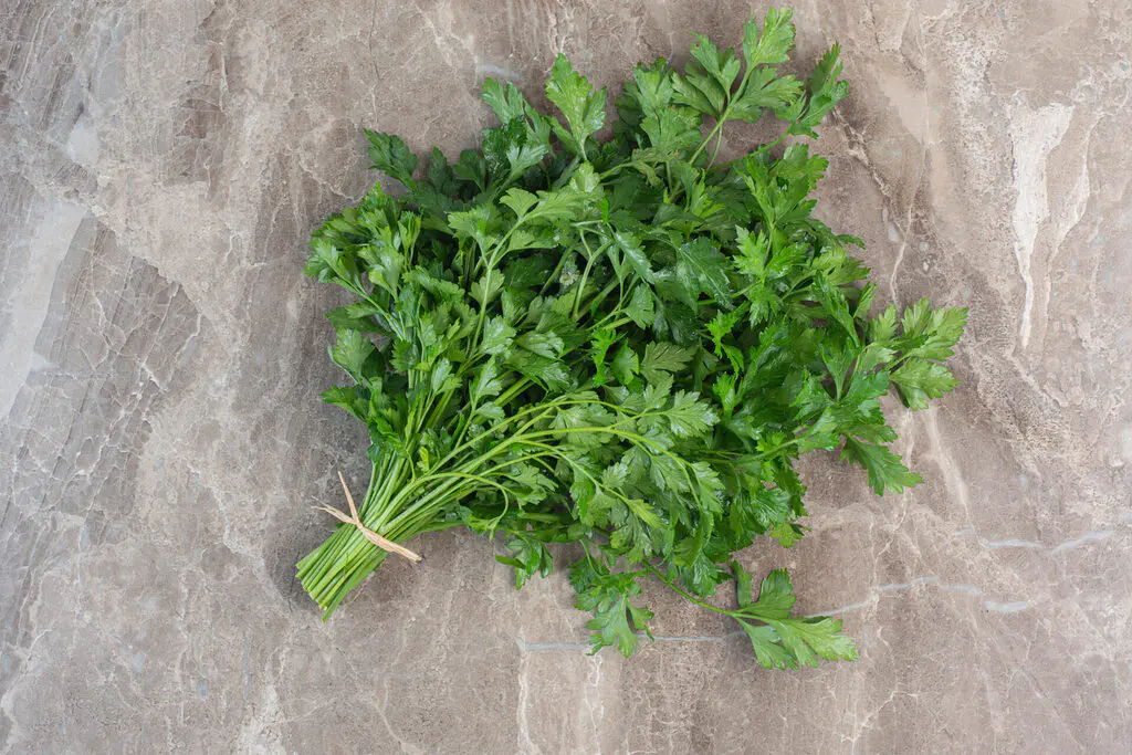 Bouquet de persil sur une surface en marbre