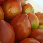 tomates cœur de bœuf