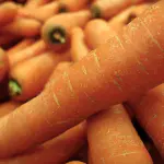 carottes douchées