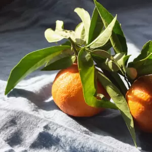 Mandarines de Sicile non traitées après récolte