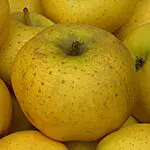 pommes chanteclerc