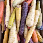 carottes anciennes