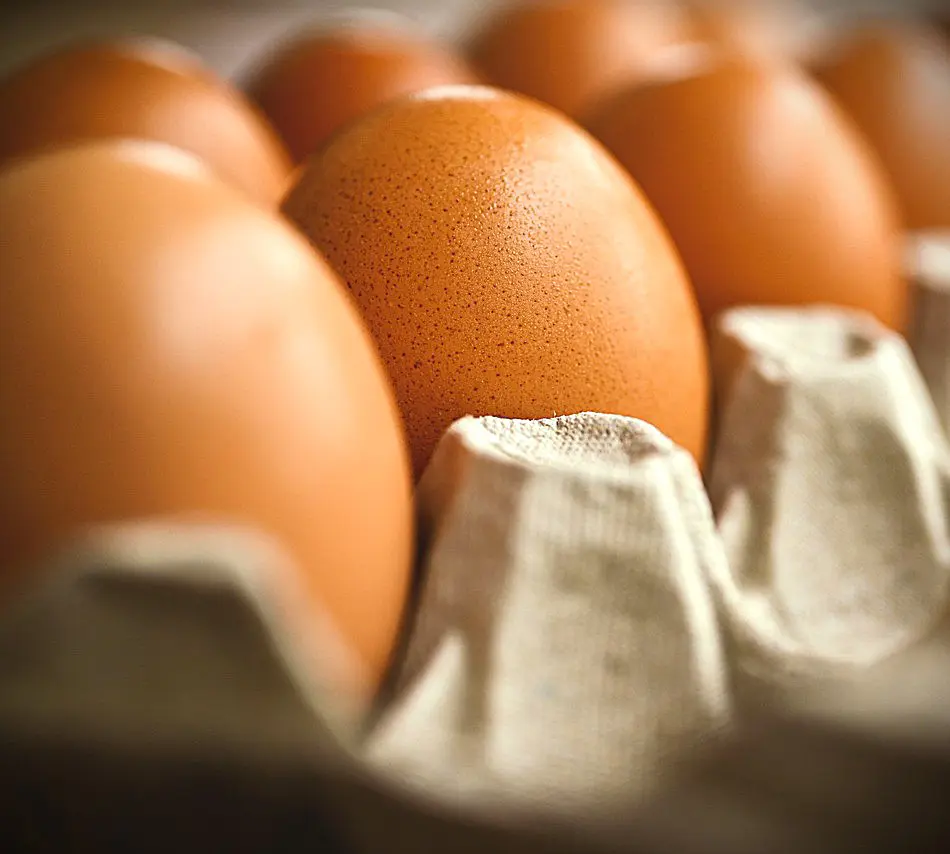 6 oeufs frais