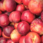 nectarine blanches