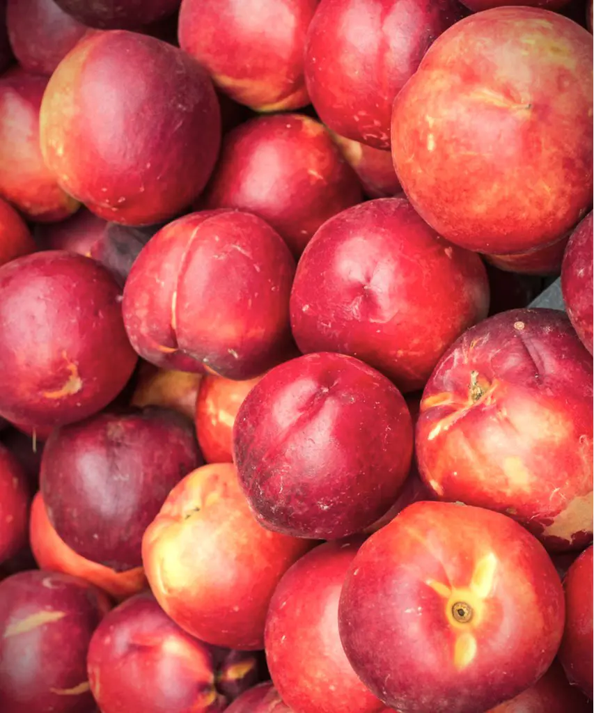 nectarine blanches