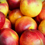 nectarine jaune