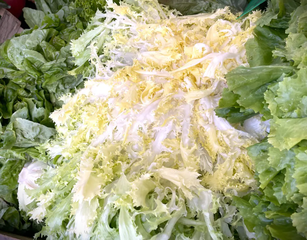salades frisées