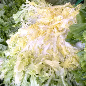 salades frisées