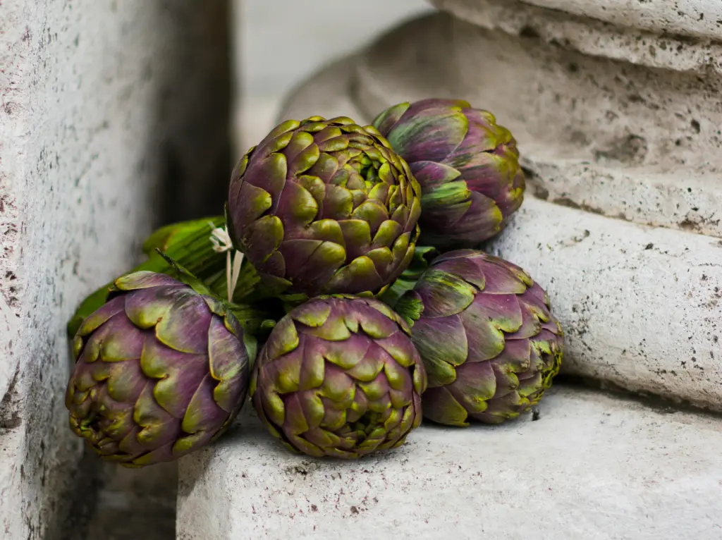 artichauts bouquet