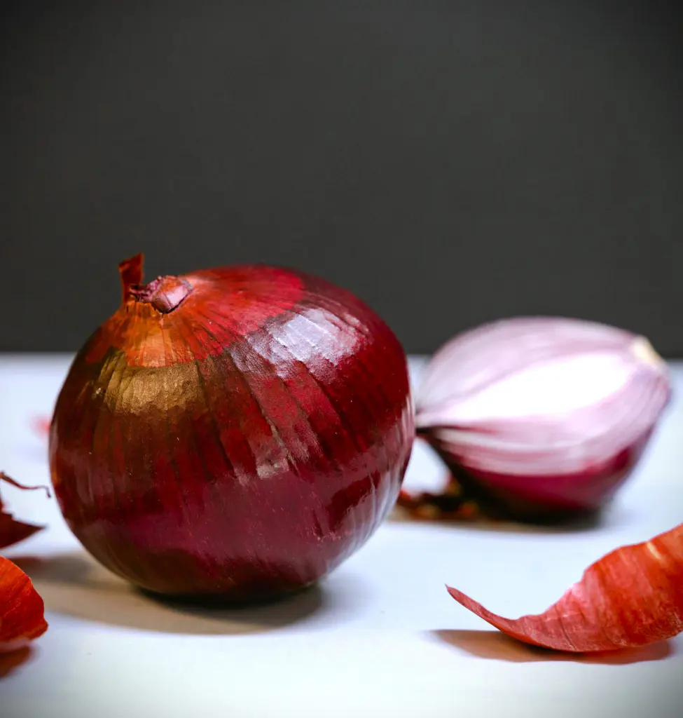 oignon rouge