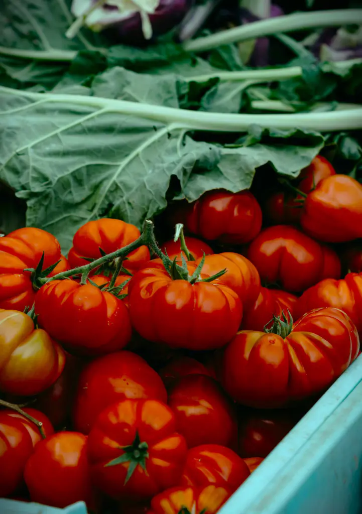tomates marmande