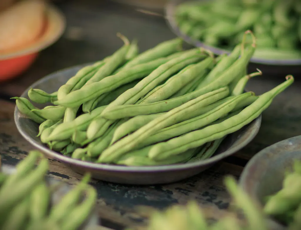 haricots verts