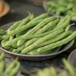 haricots verts