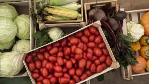 grossiste fruits légumes locaux