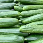 concombre long