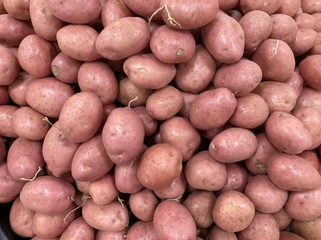 pomme de terre rouge