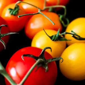 tomate cerise grapette