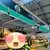 La tortue paysanne