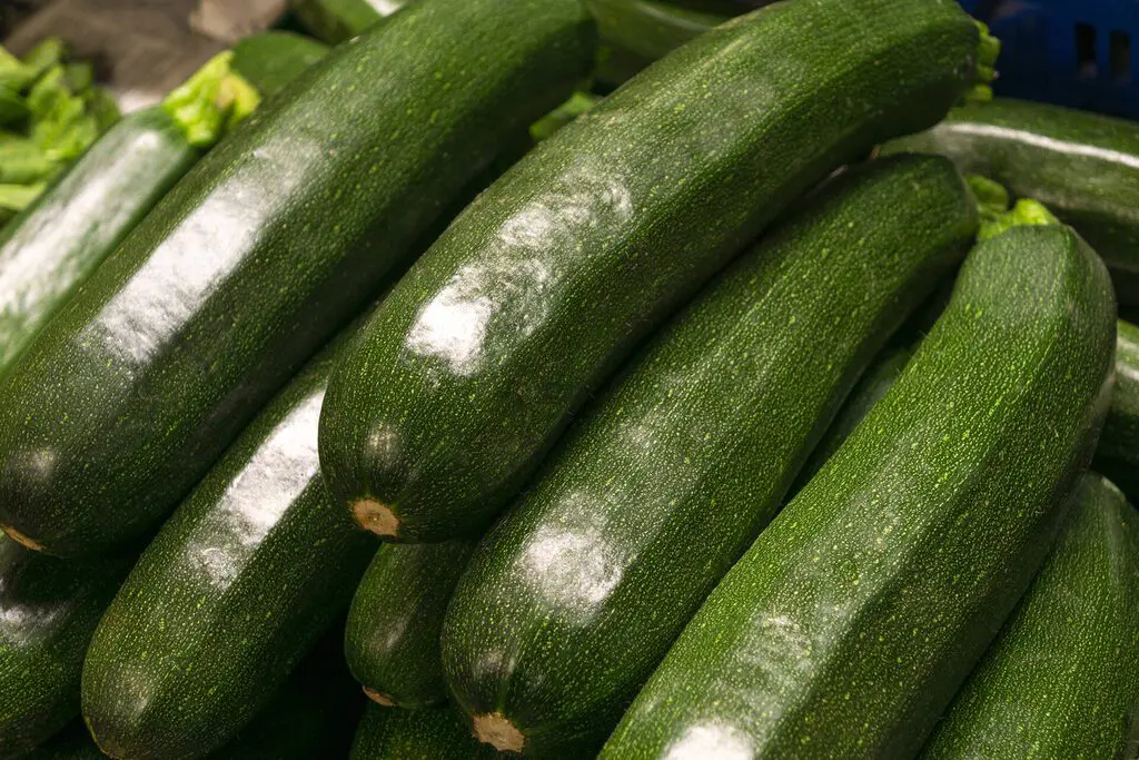 Courgettes