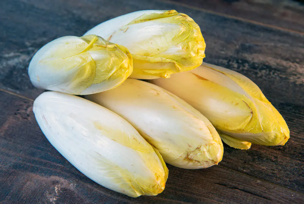 Endives du Nord sur une surface en bois