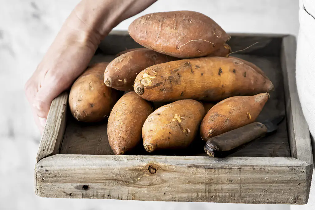 Patates douces du jardin dans une boîte en bois