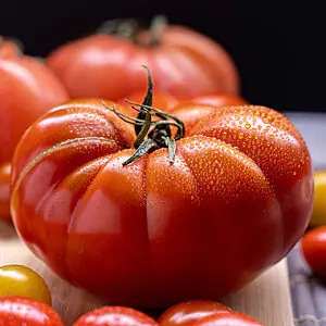 tomates marmande