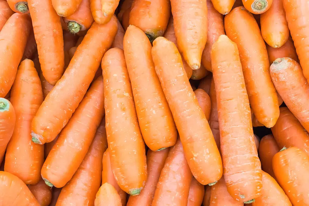 carottes de meyssard