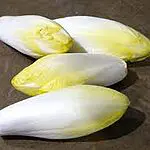 endive
