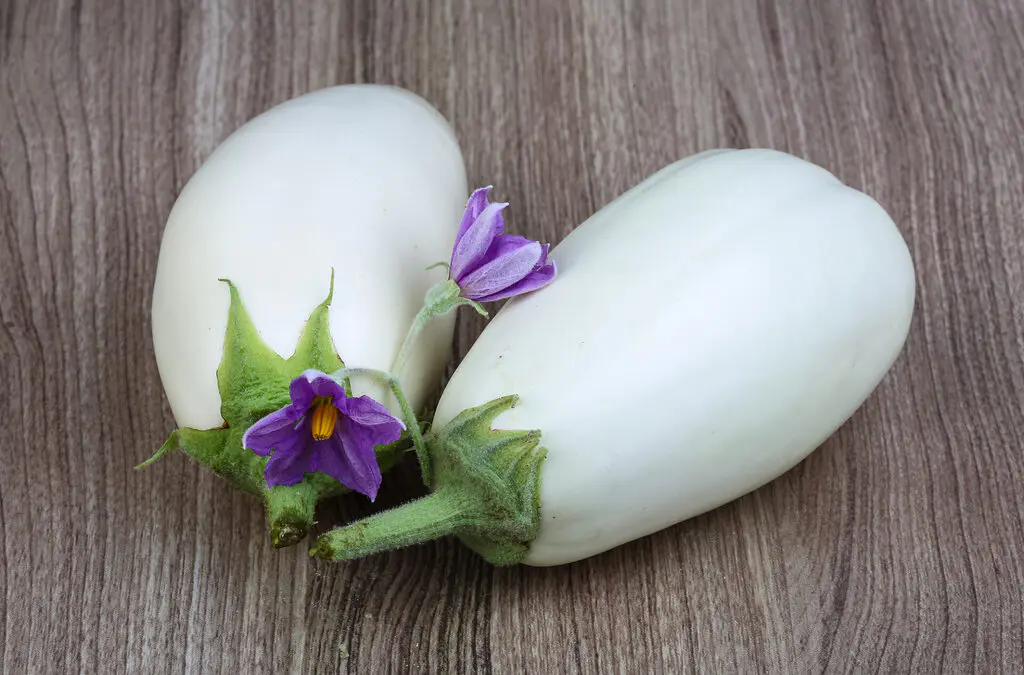 aubergines blanches
