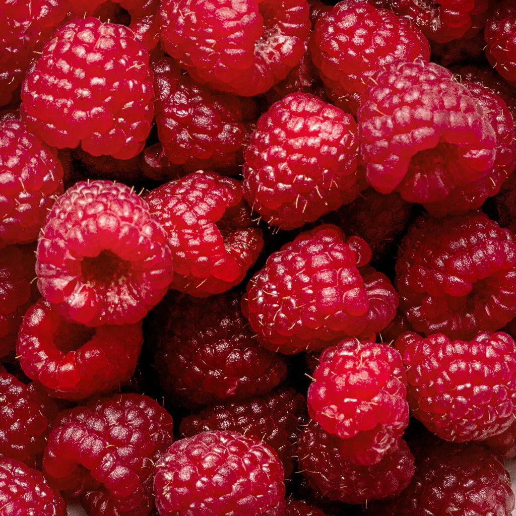 framboise