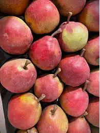 poire cascade