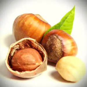 noisette