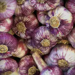 ail violet