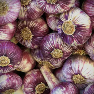 ail violet