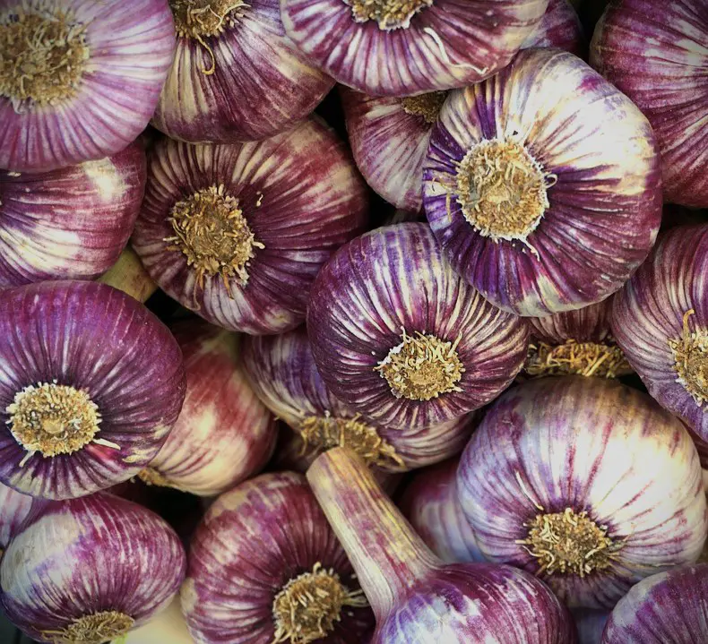 ail violet