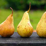 poire guyot