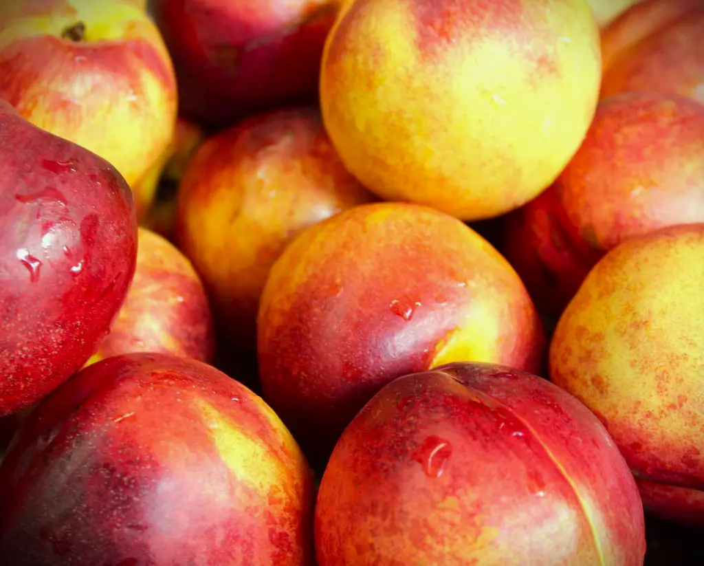 nectarine jaune