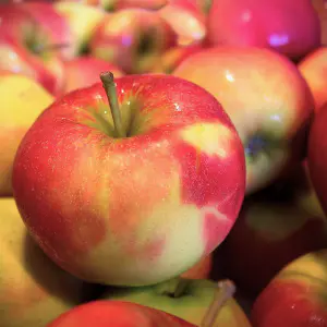 pommes d'été