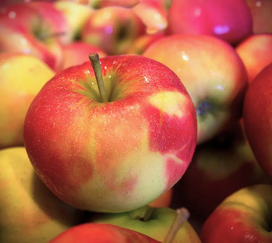 pommes d'été