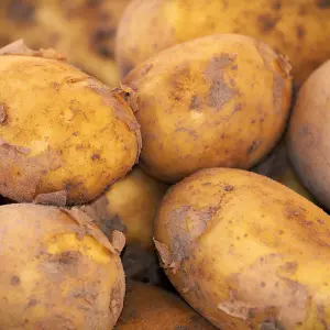 pommes de terre