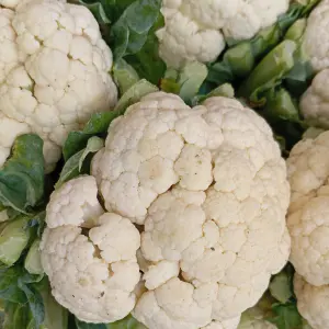 chou fleur