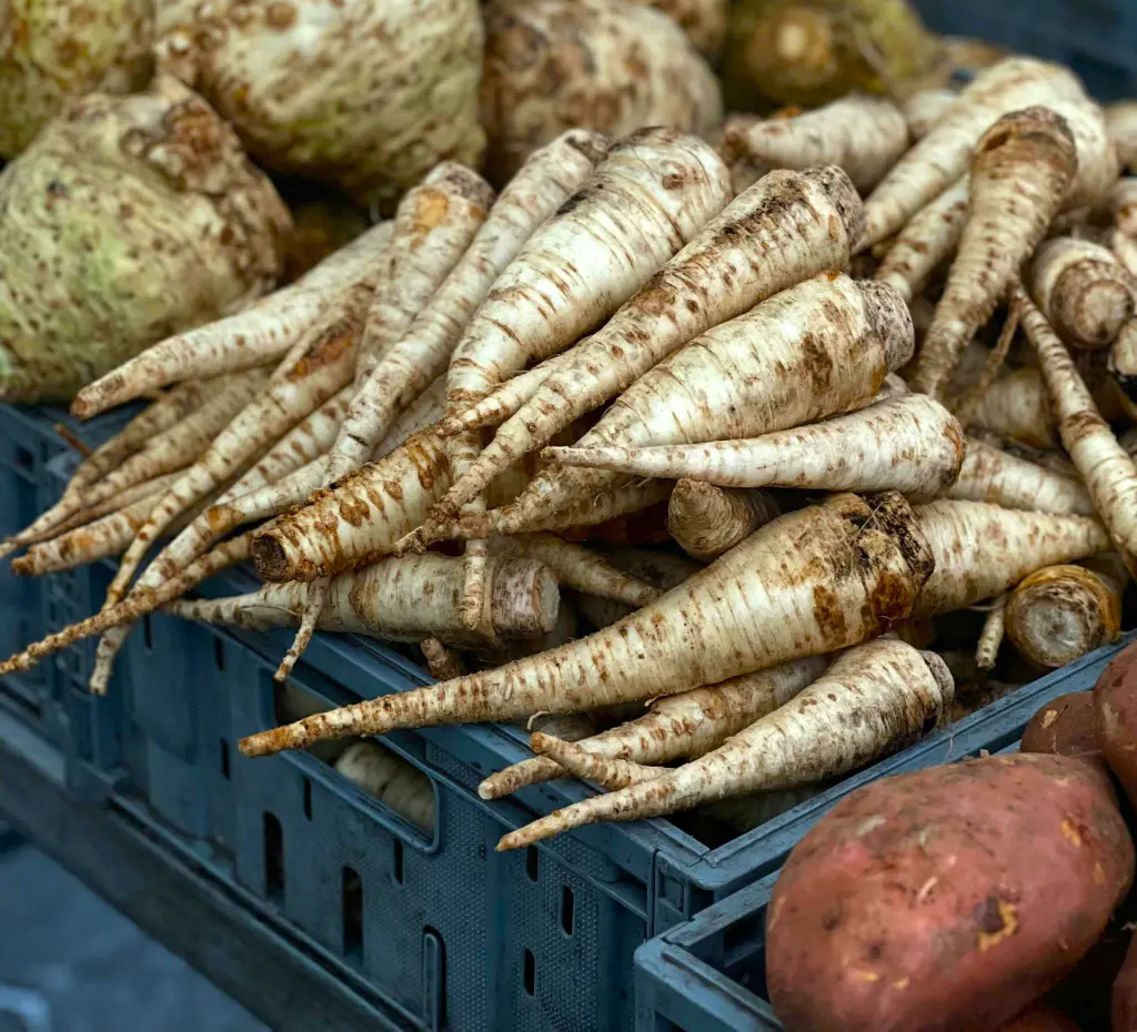 panais