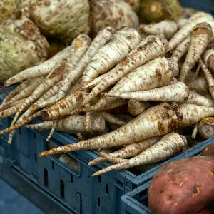 panais