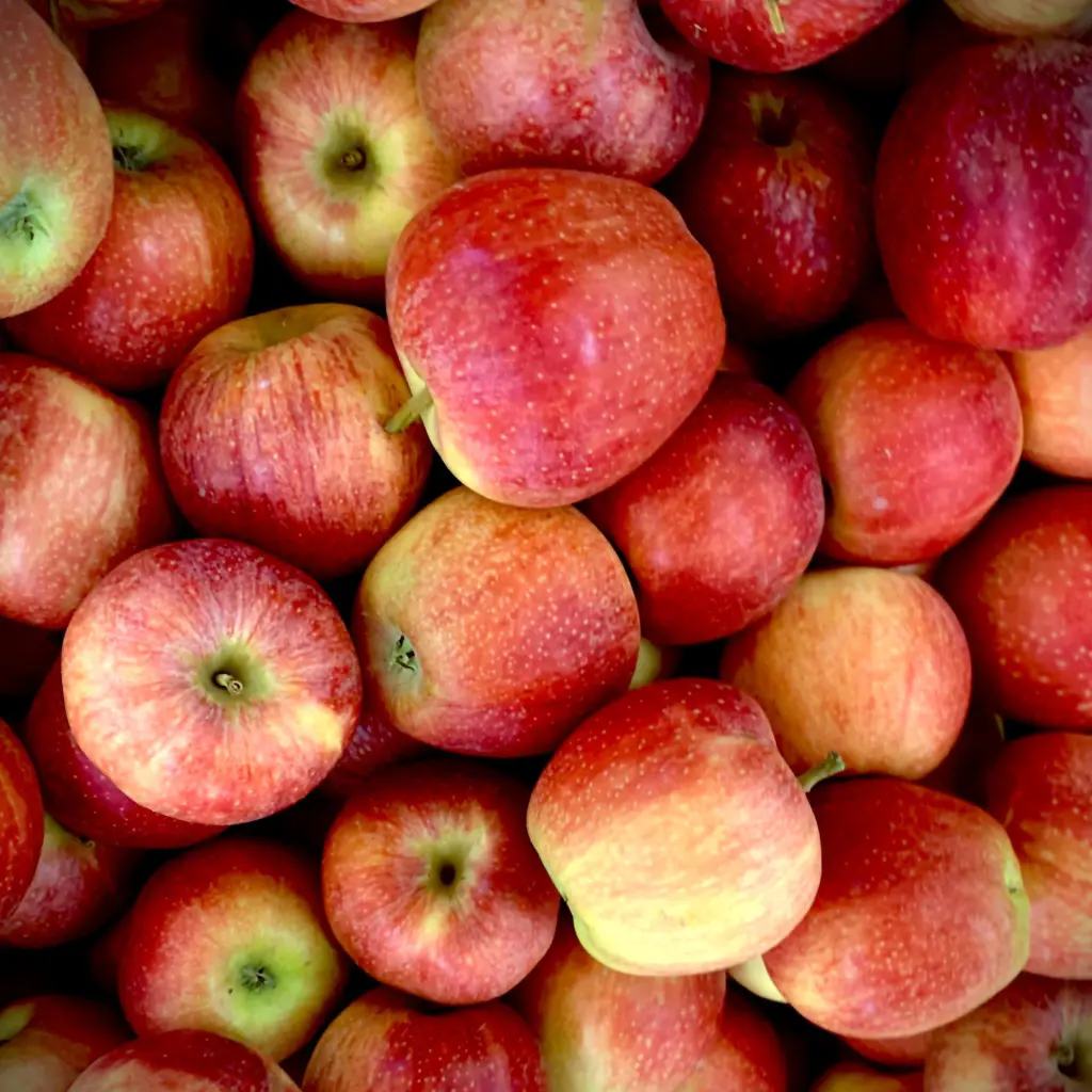 pommes julia