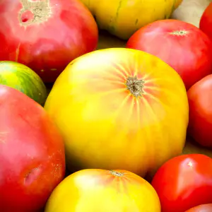 tomates ananas