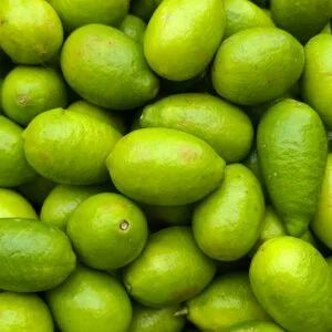 citron vert