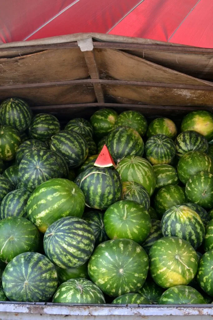 pasteque sans pepin