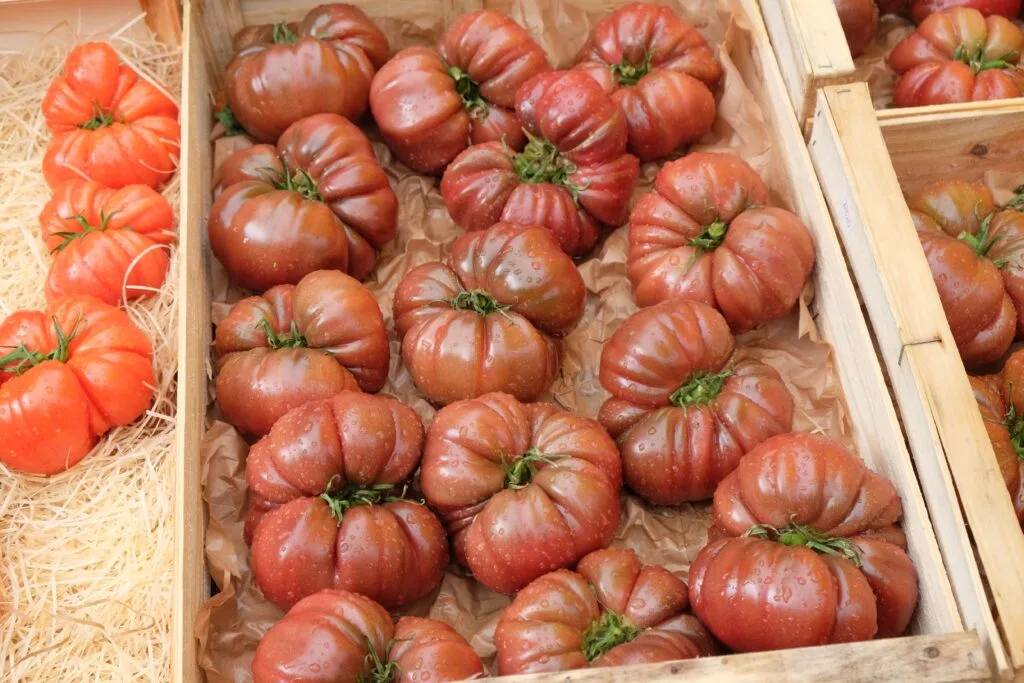 tomate noire crimée
