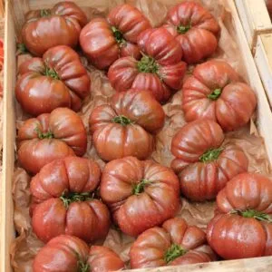 tomate noire crimée